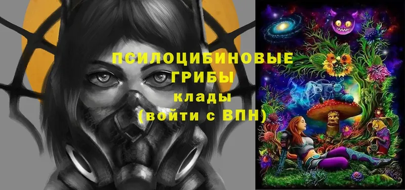 Галлюциногенные грибы мицелий  blacksprut как зайти  Грозный 